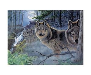 Royal Brush Pintura por número Kit 15.375-inch X 11.25-inchmystical Moonlight, Otros, Multicolor