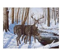 Royal Brush Pintura por número Kit 15.375-inch X 11.25-inchwinter Bliss, Otros, Multicolor