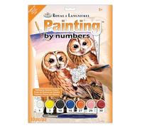 Royal Brush Varios Junior Pequeño Pintura por número Kit 8.75-Inch X 11.75-Inch, Tawny, diseño de búhos