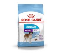 Royal Canin 31 Comida Gigante para Perros, 3,5 kg