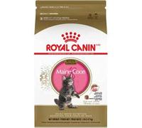 Royal Canin Kitten Maine Coon - Comida para Gatos, 2 kg
