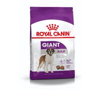 ROYAL CANIN Adulto Gigante 15kg + sorpresa gratis