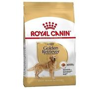 Royal Canin Adulto Golden Retriever