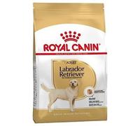 Royal Canin Adulto Labrador Retriever