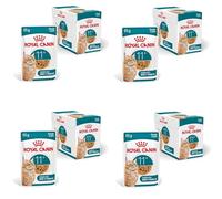 Royal Canin Ageing 11+ - Alimento en gelatina para gatos mayores de 11 años - Cantidad: 85 g