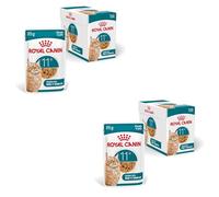 Royal Canin Ageing 11+ - Alimento en gelatina para gatos mayores de 11 años - Cantidad: 85 g