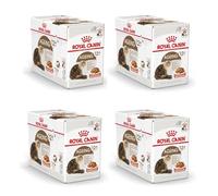 Royal Canin Ageing 12+ - Alimento en salsa para gato con más de 12 años - Cantidad: 12 x 85 g