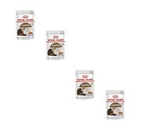 Royal Canin Ageing 12+ trozos Finos en gelatina | Paquete de 4 | 4 x 12 x 85 g | Alimento húmedo para Gatos Mayores | Alimento Completo para Gatos Seniors a Partir de los 12 años