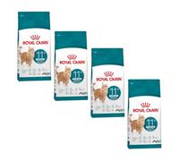 Royal Canin Ageing Sterilised 11+ | Paquete de 4 | 4 x 400 g | Alimento seco para gatos esterilizados mayores de 11 años | Fórmula con el complejo HealthyAge7™ | Contiene croquetas fáciles de masticar