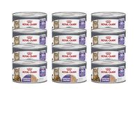 ROYAL CANIN Appetite Control Care Airlift Loaf | 12 x 85 g | Alimento Completo para Gatos Adultos