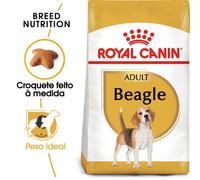 ROYAL CANIN Beagle Adulto 12kg + sorpresa gratis