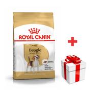 ROYAL CANIN Beagle Adulto 12kg + sorpresa gratis