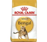Royal Canin Bengal - Comida para Gato de Adulto (400 g)