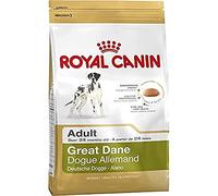 ROYAL CANIN Gran Danés Adulto 12kg + sorpresa gratis