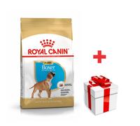 Royal Canin Boxer Junior - Formato: 12 kg