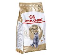 ROYAL CANIN British Shorthair Adult | 4 kg | Alimento Completo para Gatos British Shorthair Mayores de 12 Meses | para apoyar el Bienestar General | con Omega-3