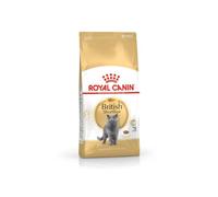 ROYAL CANIN British Shorthair Adulto 4kg