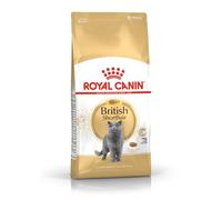 ROYAL CANIN British Shorthair Adult | 4 kg | Alimento Completo para Gatos | con Omega-3