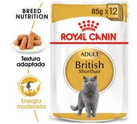 Royal Canin British Shorthair Adult - Alimento en salsa para gato de raza - Cantidad: 12 x 85 g