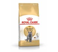 ROYAL CANIN British Shorthair Adulto 10kg + sorpresa gratis
