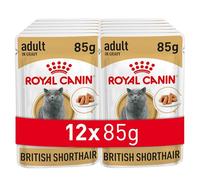 ROYAL CANIN British Shorthair Adulto 12x85g