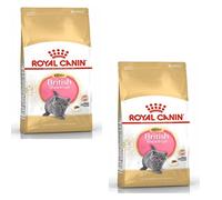 Royal Canin British Shorthair Kitten | Paquete Doble | 2 x 400 g | Alimento seco para Gatitos BKH | hasta el 12º Mes | para apoyar el Crecimiento de Huesos y músculos