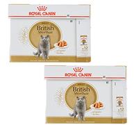Royal Canin British Shorthair | Paquete Doble | 2 x 12 x 85 g | Comida húmeda para Gatos Adultos de Raza British Shorthair | Apto a Partir de los 12 Meses de Edad | Trocitos en Salsa