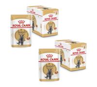 Royal Canin British Shorthair | Paquete Doble | 2 x 12 x 85 g | Comida húmeda para Gatos Adultos de Raza British Shorthair | Apto a Partir de los 12 Meses de Edad | Trocitos en Salsa