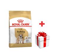 ROYAL CANIN Bulldog Adulto 12kg + sorpresa gratis
