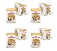 ROYAL CANIN Bulldog Francés Adulto Loaf | Pack de 4 | 4 x 12 x 85 g | Alimento Completo para Bulldogs franceses a Partir de 12 Meses