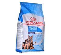 Royal Canin Pienso para perros Maxi Starter C-08445 4 kg