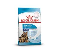 Royal Canin C-08445 S.N. Maxi Starter - 4 Kg | Apoya la defensa natural, la digestión, la gestación y la lactancia, con fácil rehidratación
