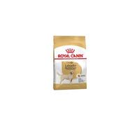 Royal Canin Labrador Retriever Adult - Pienso para perros - Cantidad: 3 kg