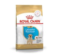 Royal Canin C-08910 S.N. Labrador Junior - 3 Kg
