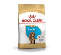 Royal Canin C-08941 S.H. Nut. Cocker Junior - 3 Kg