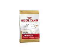 Royal Canin C-08951 S.H. Dalmatian Junior - 12 Kg