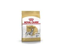 Royal Canin Dálmata Adult - Pienso para perros de raza - Cantidad: 12 kg