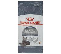 Royal Canin Dental Care - Pienso para gatos adultos con dientes sensibles - Cantidad: 1,5 kg