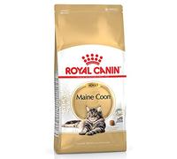 Royal Canin C-58640 Maine Coon - 4 Kg