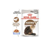 Royal Canin Cat Ageing +12 Alimento húmedo para gatos en gelatina | Húmedo (sobre) | 12 x 85 g