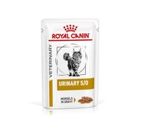 Royal Canin Cat Urinary Chicken Comida para Gatos - Paquete de 12 x 100 gr - Total: 1200 gr