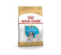 Royal Canin King Charles Cavalier - Alimento seco para Cachorros, 1,5 kg