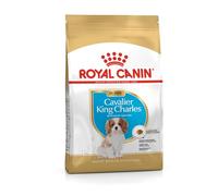 Royal Canin King Charles Cavalier - Alimento seco para Cachorros, 1,5 kg