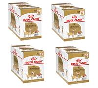 Royal Canin Chihuahua Adult | Paquete de 4 | 4 x 12 x 85 g |Alimento húmedo para Chihuahuas Adultos | para favorecer la Calidad de Las heces y la Salud Dental | Alta aceptación