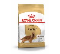 ROYAL CANIN Cocker Spaniel Adulto 12kg + sorpresa gratis