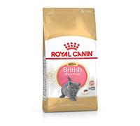 Royal Canin Comida para Gatitos - British Shorthair - Comida Completa (2 kg)