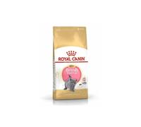 Royal Canin Comida para Gatitos - British Shorthair - Comida Completa (2 kg)