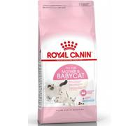 Royal Canin Comida para gatos Babycat 2 Kg