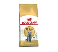 Royal Canin Comida para gatos British Shorthair 10 Kg