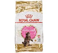 Royal Canin Comida para gatos Kitten Maine Coon 10 Kg